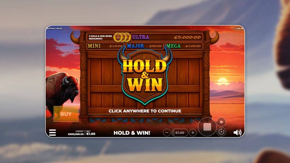 Buffalo wilds slot game hold and win